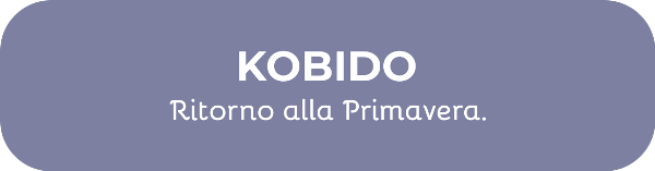 mifaibene-massaggio-kobido